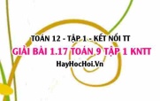 Giải 1.17 Toán 12 tập 1 SGK Kết nối tri thức